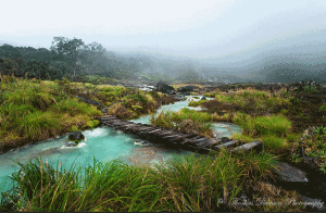 Bridge to Paradise - Cauca, Colombia