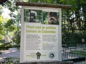 DierenPark Amersfoort steunt Colombiaanse Proyecto Tití