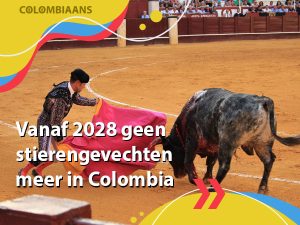 Vanaf 2028 stierenvechten verboden in Colombia